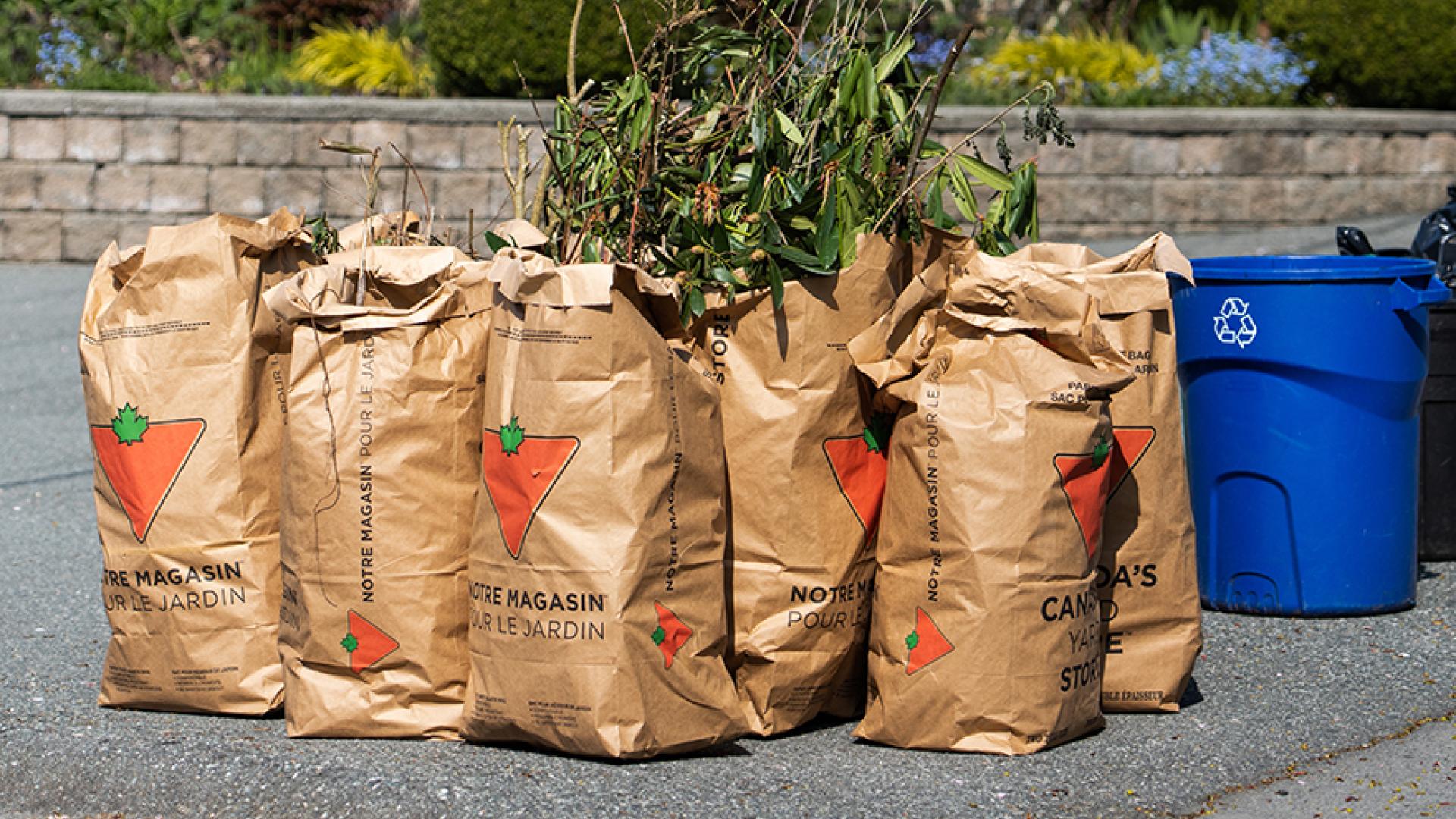 Yard waste lined up for curbside collection