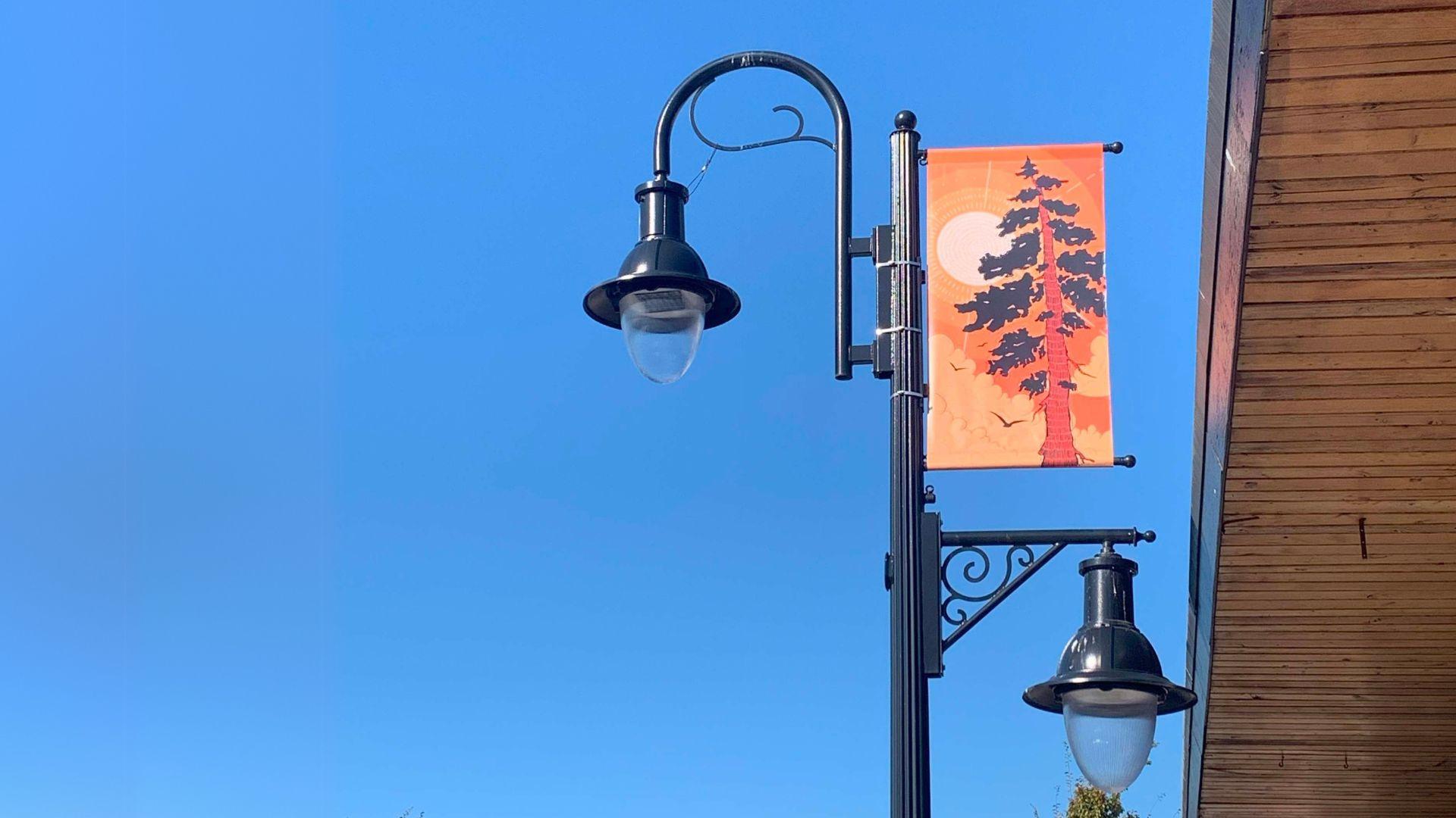 Tree Banner by Chelsea Isbister