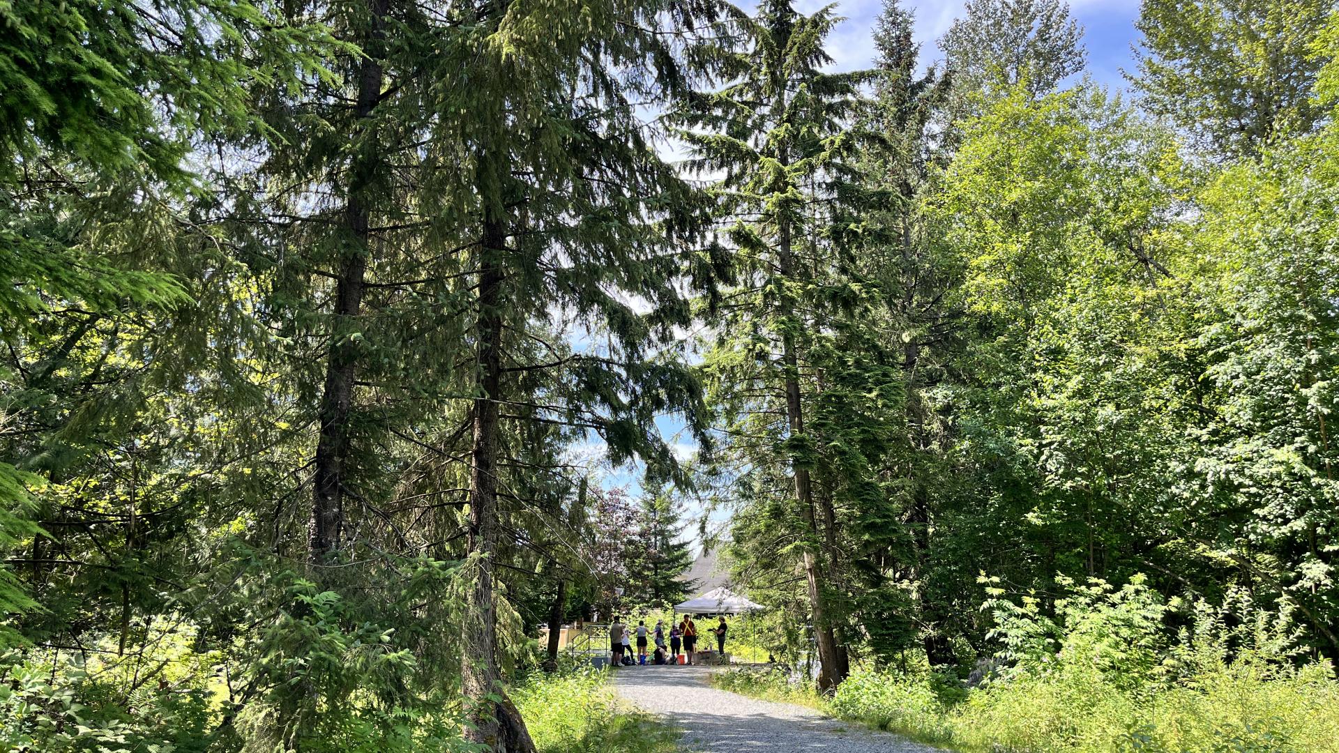 Gaudin Creek Trail