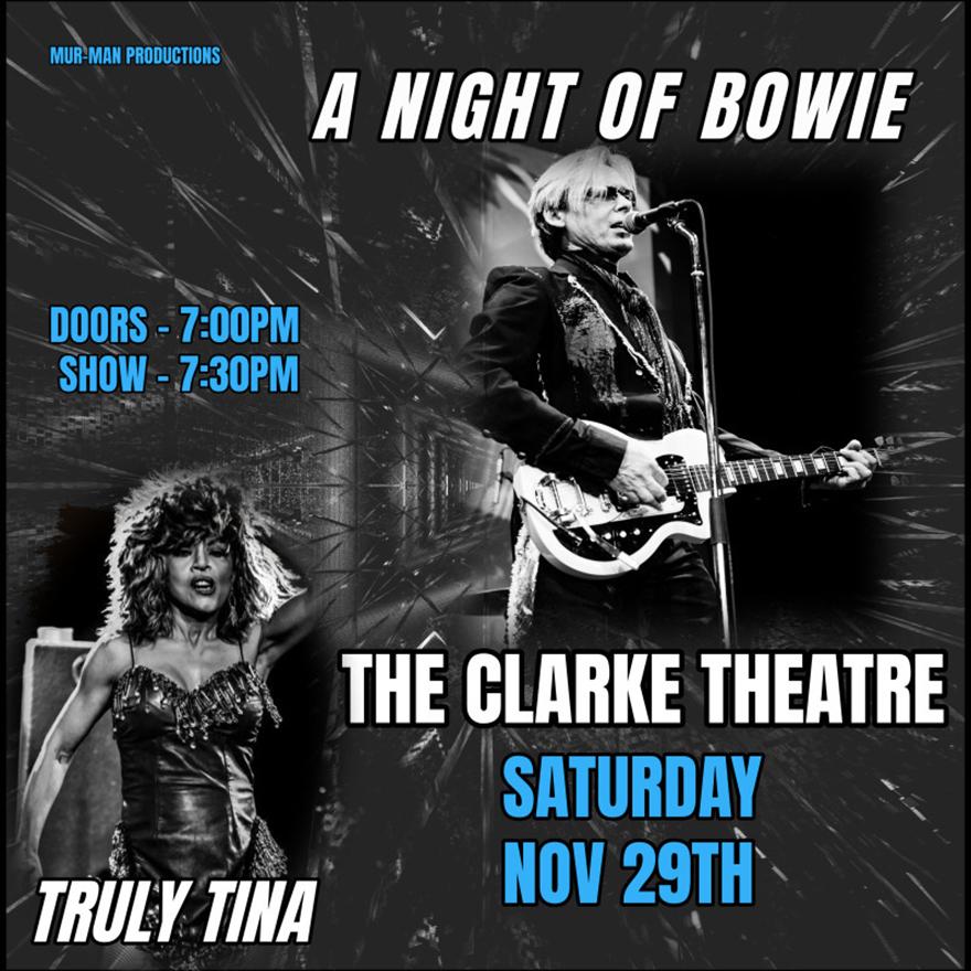 concert poster with headshots of bowie and tina headliners performing on stage