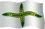 The City of Missions's flag, white with a green and yellow cross with trees at the ends