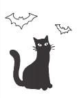 black cat with bats